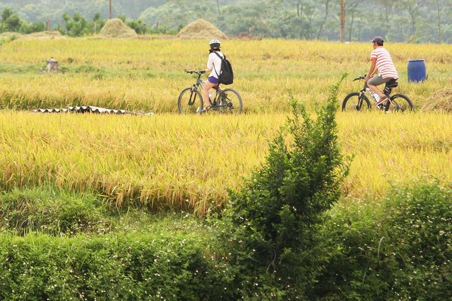 The Emerald Delta: The Ultimate Guide to a Hanoi Red River Village Cycling Tour